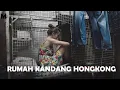 Download Lagu SISI GELAP KEMEWAHAN HONGKONG: Kehidupan di Dalam Rumah Kandang \u0026 Peti Mati