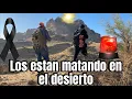 Download Lagu Como los están. matando en el desierto