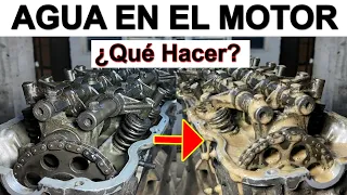 Qué hago si Pasa Agua al Aceite del Motor? Porque Pasa esto y Como lo soluciono? Fácil 💥