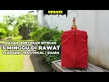 Lagu 3 MINGGU DI RAWAT LANGSUNG TEST SUARA❗SEPERTI INILAH SUARA BURUNG OMBYOKAN INI❗