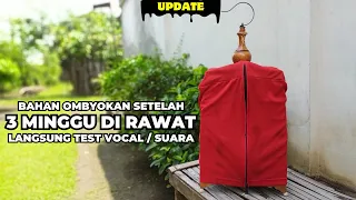 3 weeks of treatment directly test the voice this is the sound of the ombyokan bird 