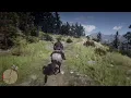 How To get Nevada hat In RDR 2