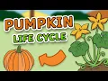 The Life Cycle of a Pumpkin for Kids Pumpkin Life Cycle Science for Kids