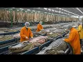 Download Lagu Inside the Crocodile Leather Factory 🐊 — From Crocodile Eggs to Luxury Bags (Full Process)