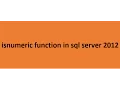 IsNumeric function in sql server 2012