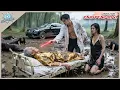 Download Lagu Beggar Turns Out to Be Miracle Doctor Saves Dying Chairman Makes Billionaire Heiress Kneel Propose