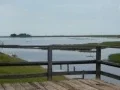 Waterfront Cottage for Sale in Horseshoe Beach - Compass Realty of North Florida