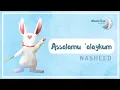 Download Lagu Nasheed - Assalaamoe ' alaikoum