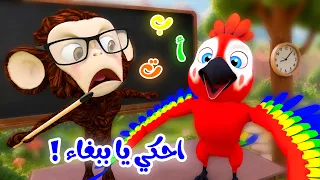 ببغاء ببغاء أغنية الحيوانات الجديدة أصوات الحيوانات دندنها