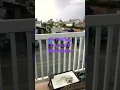 It s Hailing In Oxnard - Breaking News In Ventura County February 25 2023