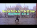 Lagu Chen Tai Chi Xin Jia Yi Lu 83 Form 陈氏太极拳新架一路83式