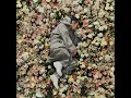 PEOPLE (Feat. Paloalto, The Quiett) (PEOPLE (Feat. Paloalto, The Quiett))