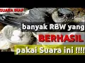 Download Lagu Suara inap sudah teruji berkualitas  , suara inap yang dipakai rwb yang sudah berhasil ,anti galau