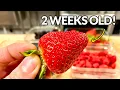 The BEST Way To Wash Fruit Vegetables