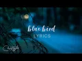 Download Lagu Zachary Knowles - blue bird (Lyrics)