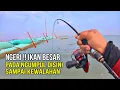 Download Lagu REJEKI NOMPLOK ‼️ PADAHAL CUMA DIPINGGIR JALAN MALAH ISINYA IKAN BABON SEMUA