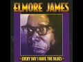 It Hurts Me Too - Elmore James