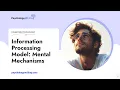 Information Processing Model Mental Mechanisms - Essay Example