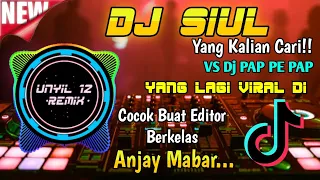 Download DJ SIUL TIK TOK VIRAL YANG KALIAN CARI VS PAPE PAP ! Unyil 12 Remix MP3