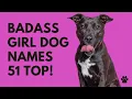 Badass Girl Dog Names 51 BEST CUTE TOP Ideas Names