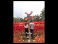 Better by JJ Heller (w/ lyrics)