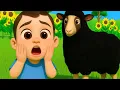 Download Lagu Baa Baa Black Sheep | video met rijmpjes voor kinderen | tekenfilmpjes met kinderliedjes voor kle...
