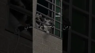 ومن الشباك لرميلك حالي دندنها