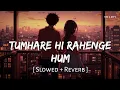 Tumhare Hi Rahenge Hum (Slowed + Reverb) | Varun Jain, Shilpa Rao | Stree 2 | SR Lofi