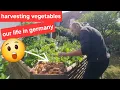 Download Lagu Barefoot life in Germany / harvesting vegetables and garden tour 