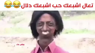       هههههههههههه   دندنها