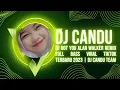 DJ NOT YOU ALAN WALKER REMIX FULL BASS VIRAL TIKTOK TERBARU 2023 | DJ CANDU TEAM