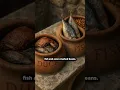 Download Lagu Is This REALLY the WORLD'S Oldest Restaurant Found in Pompeii?