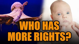 Pro-life debater compares humans to Octopi