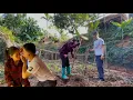 Download Lagu What Hoang did in the middle of the garden surprised me_Ly Tieu Yen