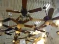Ceiling fans at Lowes