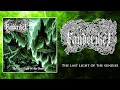 Download Lagu Fanderiket - The last light of the Sunrise (Ep 2025)