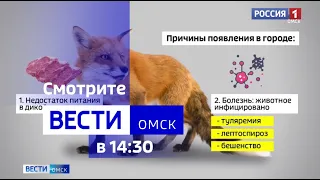 «Вести Омск», дневной эфир от 2 августа 2023 года
