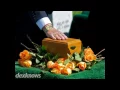 Powell Funeral Home South Boston VA 24592-1601