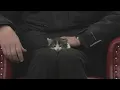 Friday Pets Levi