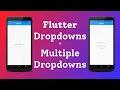 DropDown And Multiple DropDown In Flutter By Desi Programmer