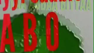 Aliyyii SaabitAbbaa Koo Abbaa Biyyaa  Aliyyii SaabitAbbaa Koo Abbaa Biyyaa