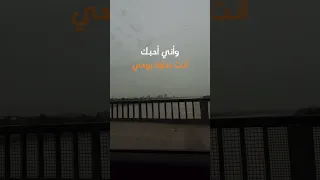 محمود درويش   وأني أحبك دندنها