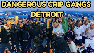 Most Dangerous Crip Gangs in Detroit The Real Story of Power Bloodshed Survival