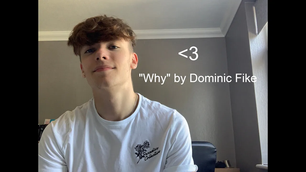 @Dominic Fike- Why (cover) 2020