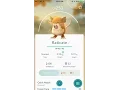 Pokemon Go Rattata Evolve to a Bigger Rat called Raticate