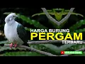 Download Lagu harga burung pergam terbaru