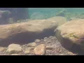 BLUE HOLE IN SODDY DAISY TN BIG SODDY CREEK GULF