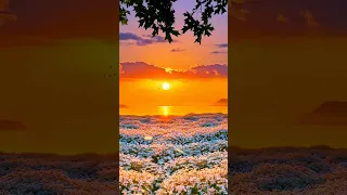 أواخر سورة القصص بصوت يلامس القلب للمقرئ عبد البديع غيلان 