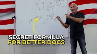 How to Prepare Yourself Before Rescuing a Dog | Cesar Millan at Big Dog Ranch Rescue