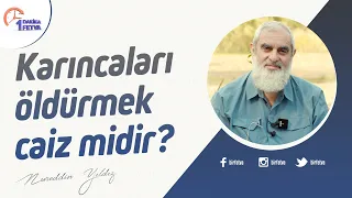 Karıncaları öldürmek caiz midir?